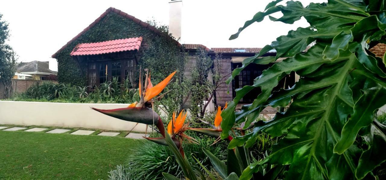 Gardenview Guest House Port Elizabeth Esterno foto